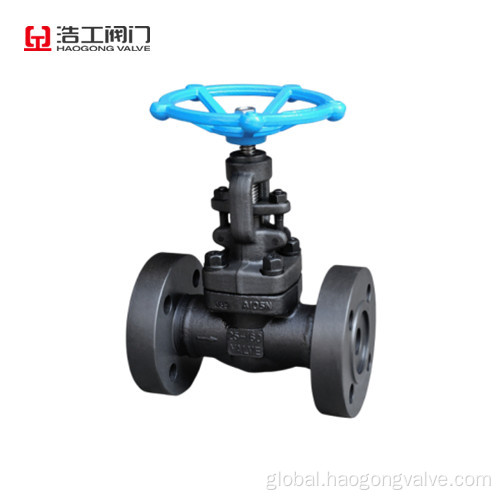 Ss Globe Valve A105 Globe Valve PN160 DN25 Manufactory